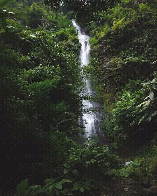 Curug Cileat