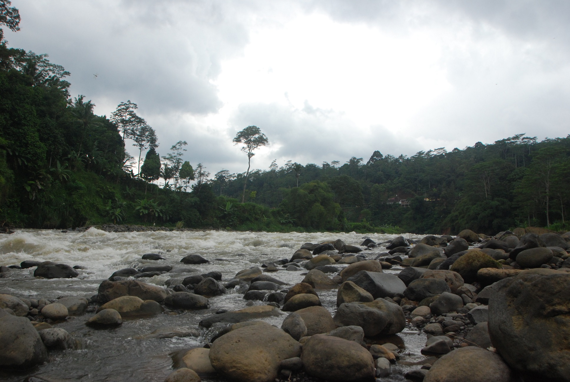 Rafting Banjarnegara