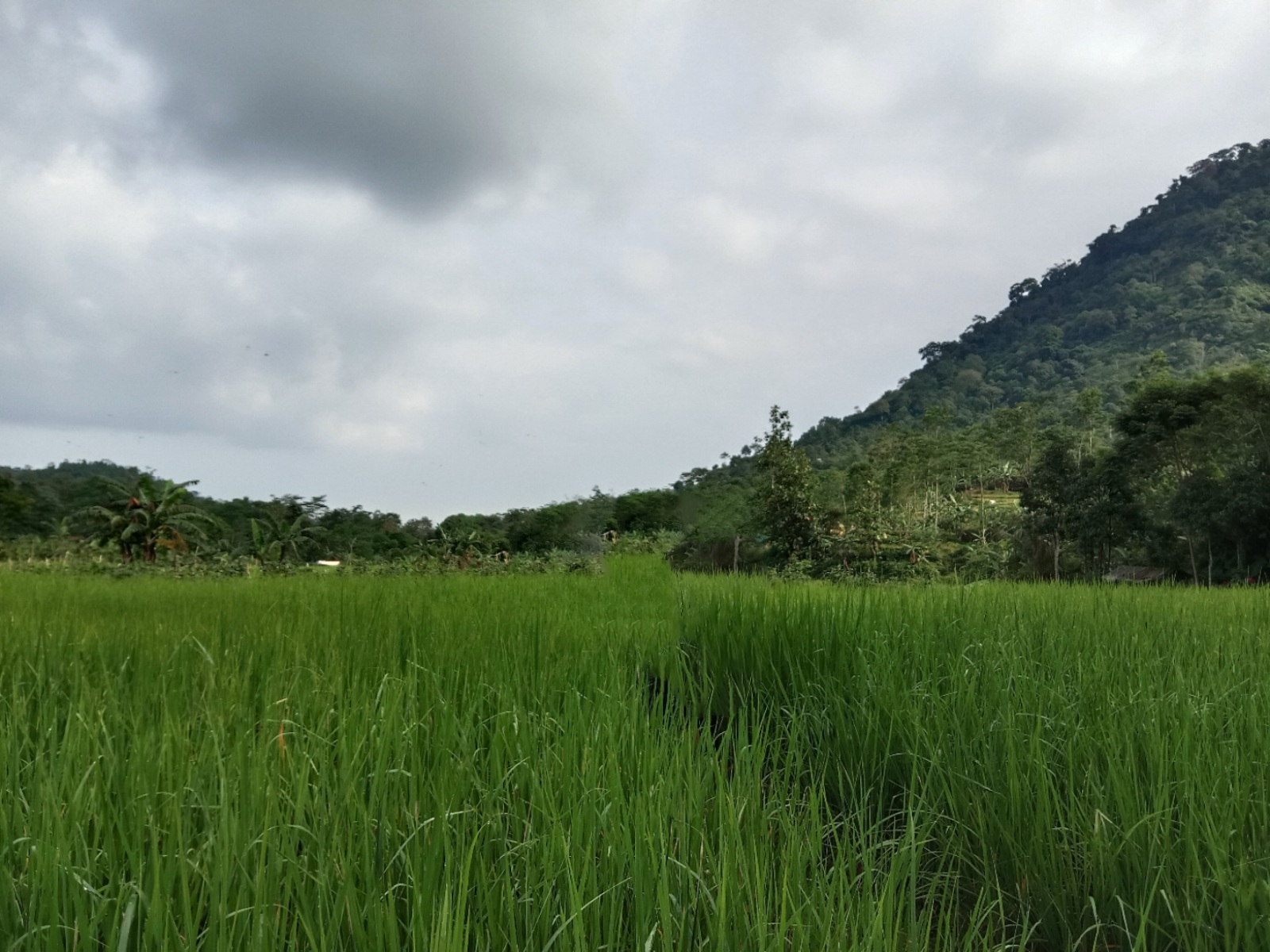 Trekking 5 curug Sentul