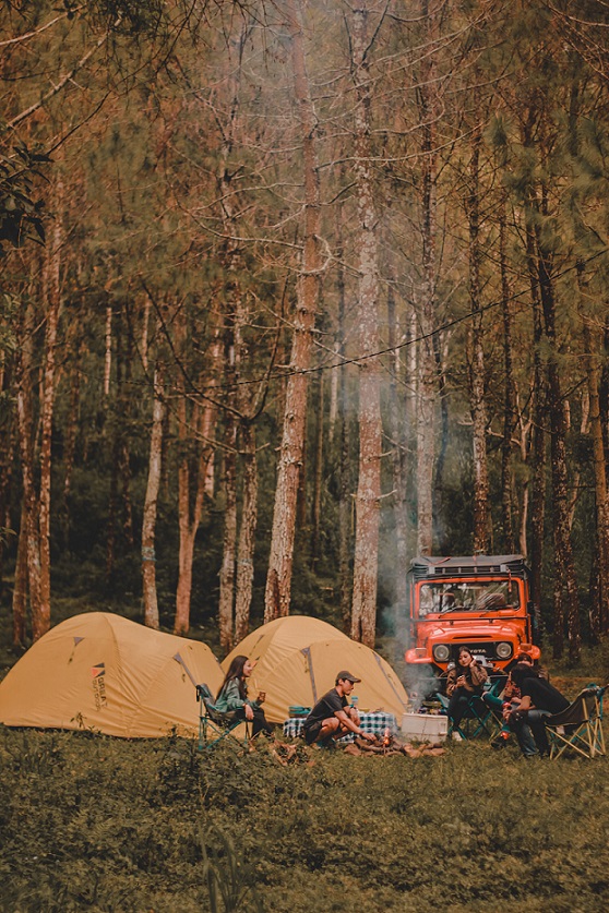 Overland Forest Camp