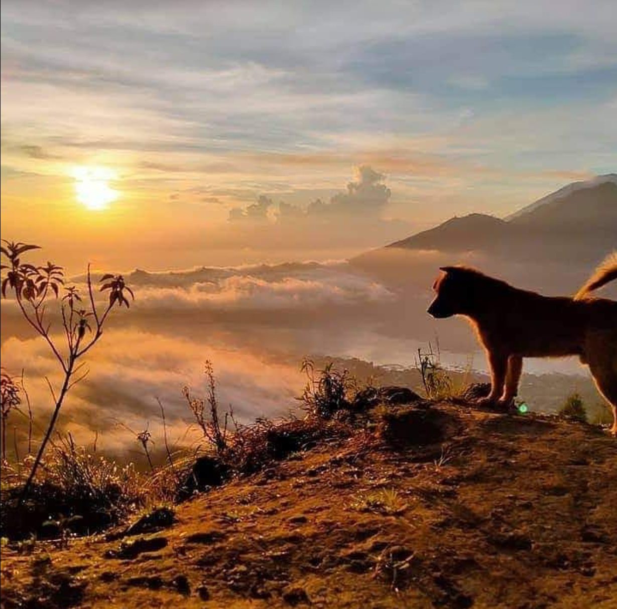 Mount Batur Trekking Activity