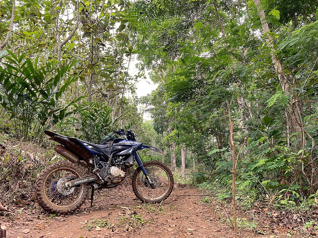 Trail Pangandaran 