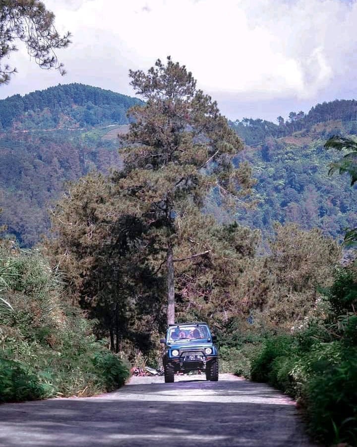 Jeep Offroad Bawang - Dieng