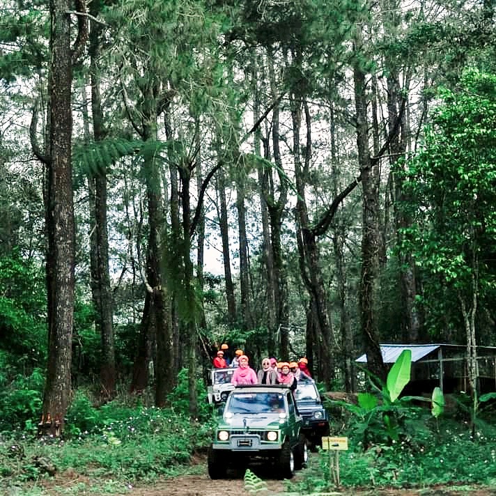 Jeep Offroad Bawang - Dieng