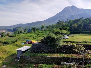 Teras Merapi Camping Ground