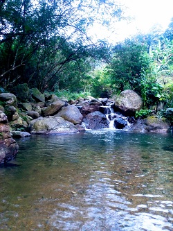 Wisata Alam Gunung Ciung Camp