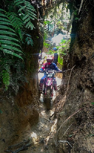 Sensasi Trail Citorek Negeri diatas awan 