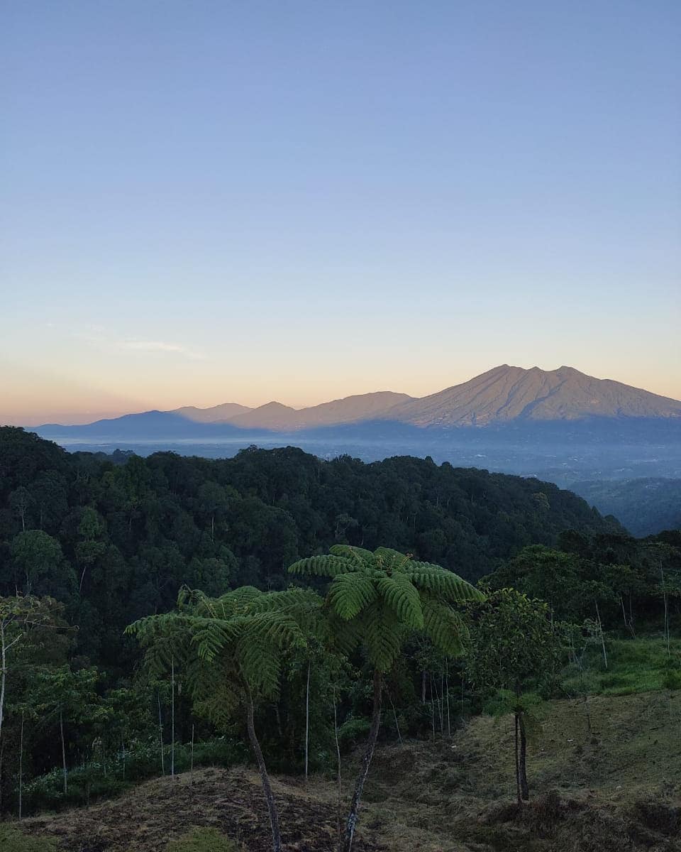 Puncak Halimun Camp