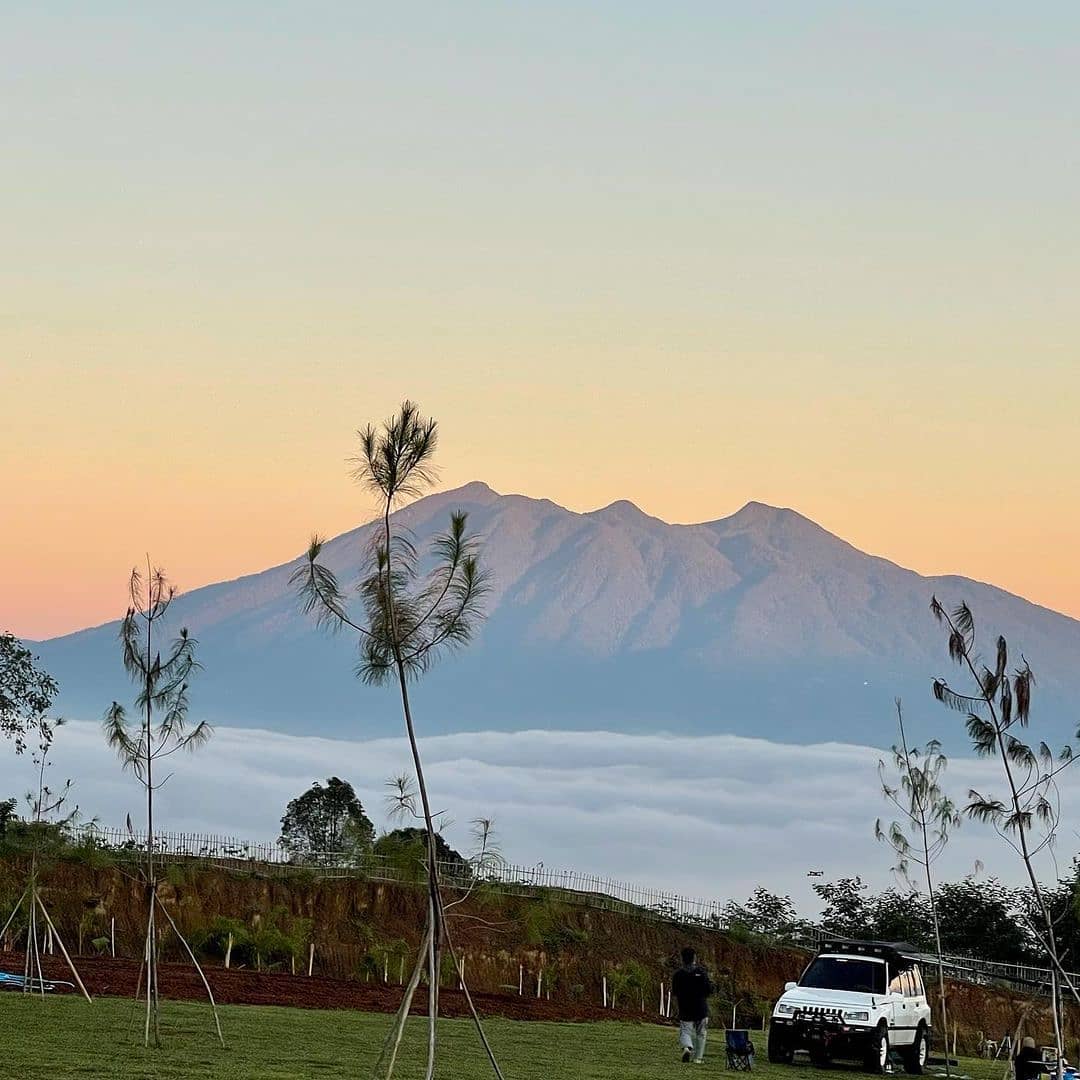 Puncak Halimun Camp