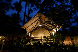 Rasamala Glamping