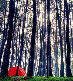 Pasirluhur Campsite