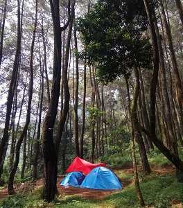 Pasirluhur Campsite