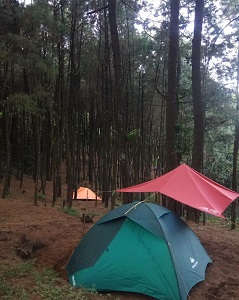 Pasirluhur Campsite