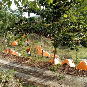 Camping Ground Green Canyon