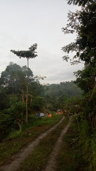 Camping Ground Green Canyon