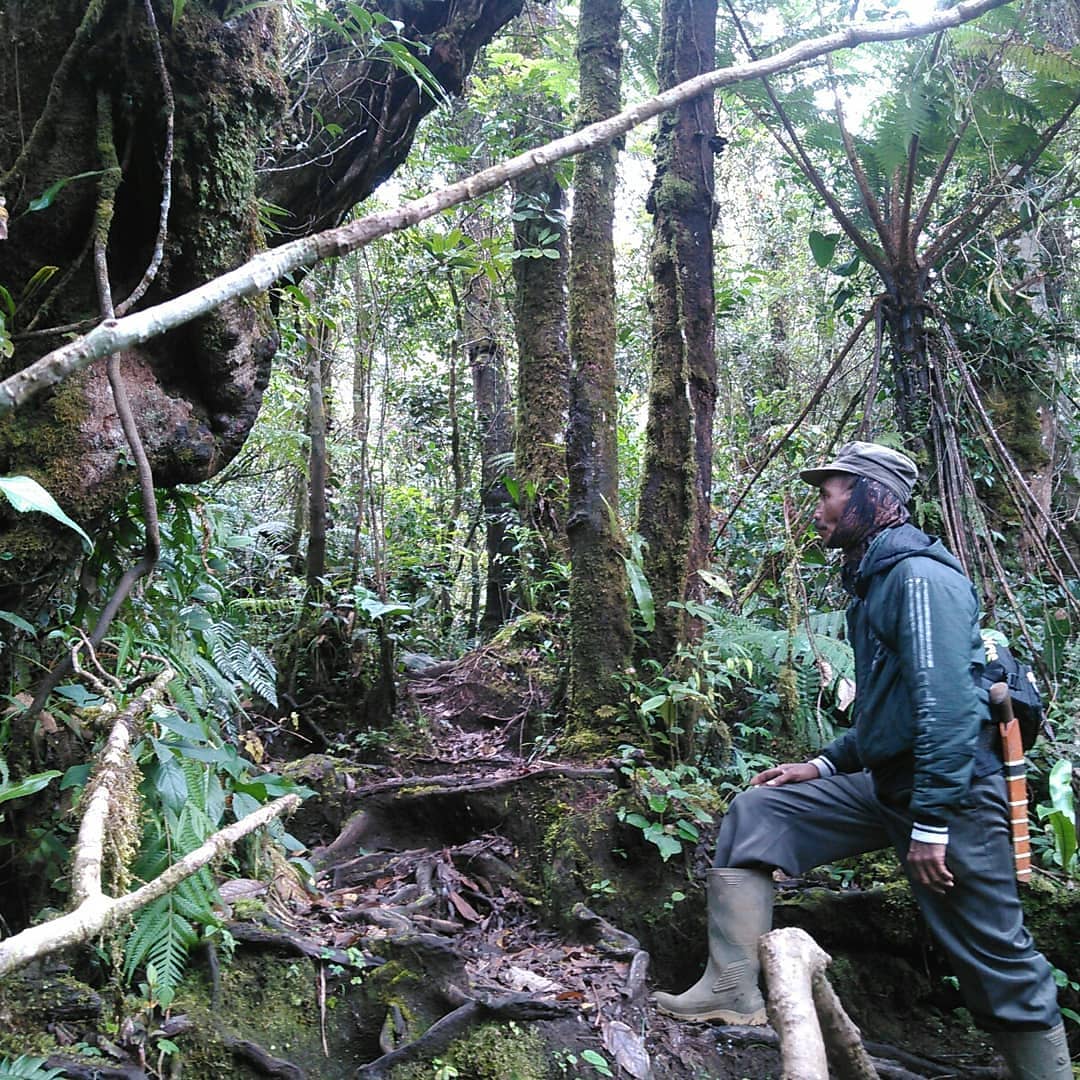 Hiking Gunung Dempo