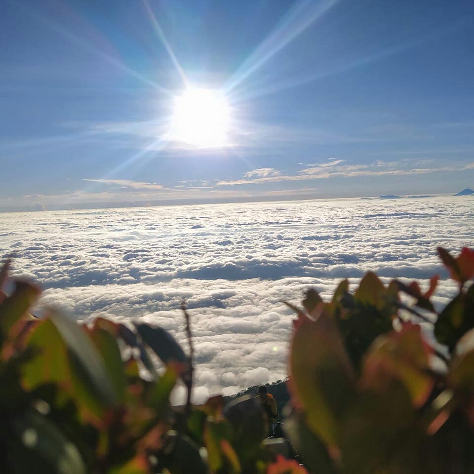 Hiking Gn Slamet Via Bambangan