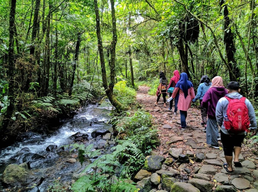 Curug Cibeureum