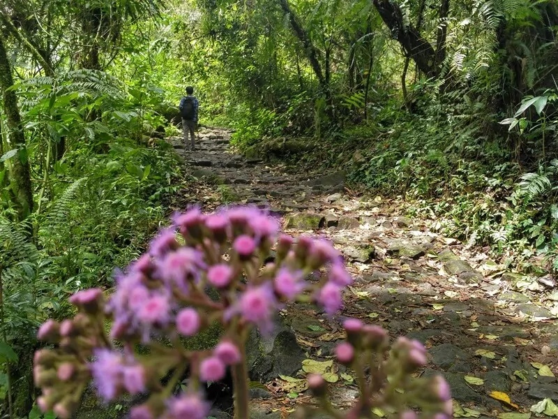 Curug Cibeureum