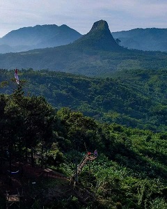 Jajar Gunung Kinayungan Camp