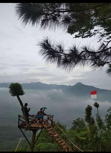 Jajar Gunung Kinayungan Camp