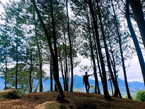 Jajar Gunung Kinayungan Camp