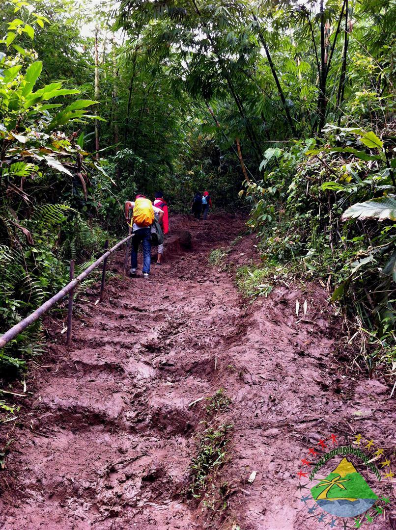 Puncak Munara