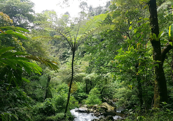 Curug Cidulang Besar