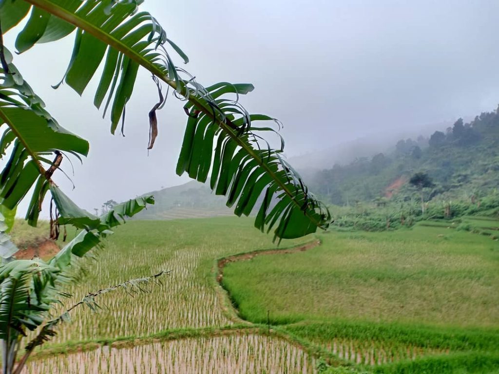 Gunung Kuta