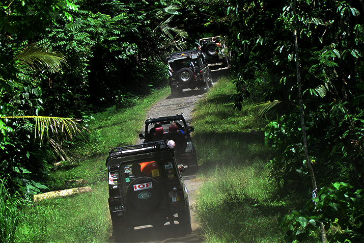 Salak agro Jeep Village