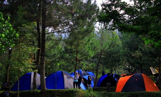 Highland Camp Curug Panjang