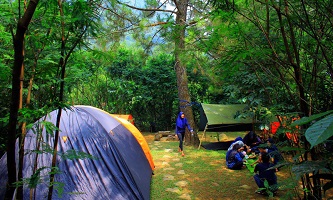 Highland Camp Curug Panjang