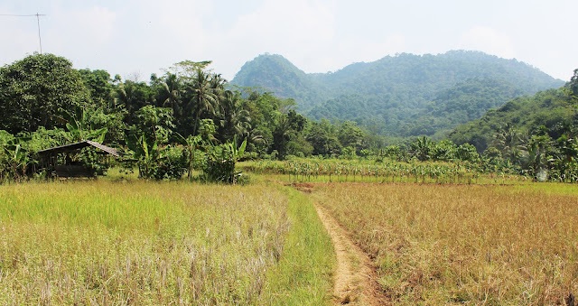 Gunung Eusing