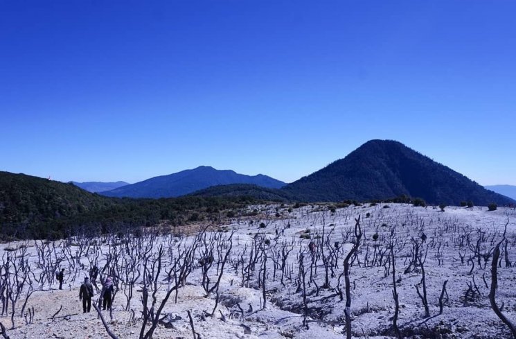 Gunung Papandayan