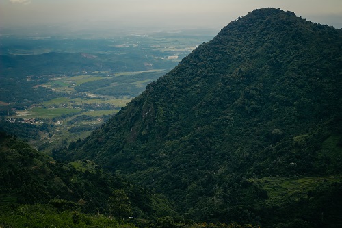 camp Puncak Palasari 