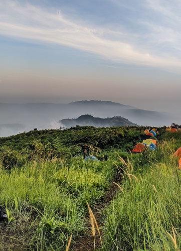 camp Puncak Palasari 