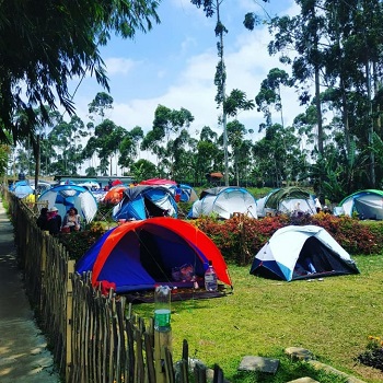 MJ Camp  Pengalengan Camping Ground 