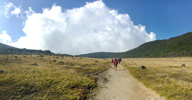 Hiking Gunung Gede 