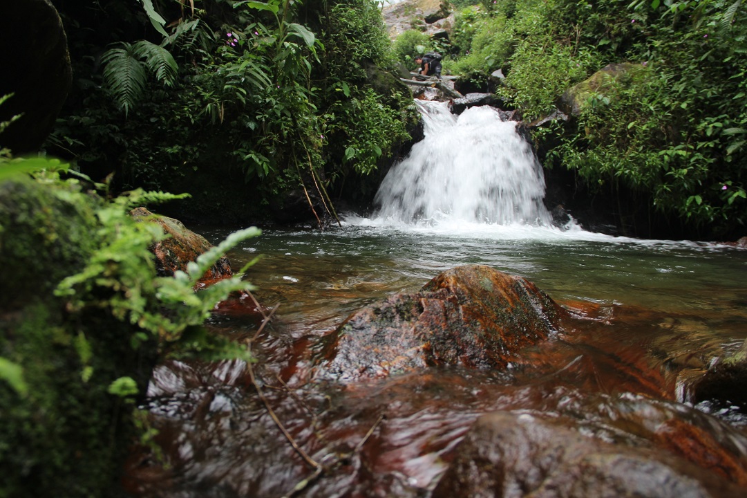 Trekking Cisadon Sentul