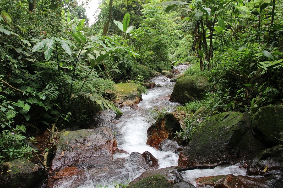 Trekking Cisadon Sentul