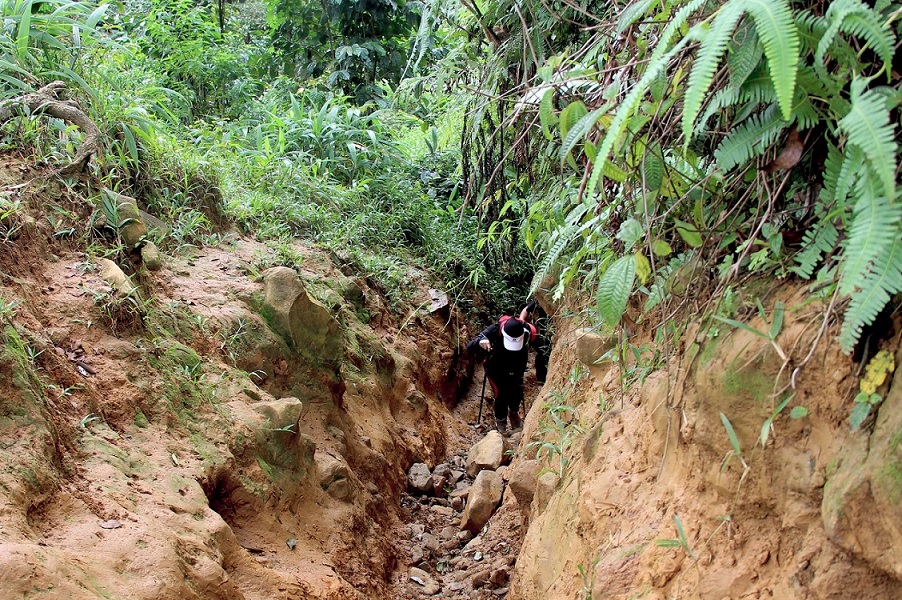 Trekking Cisadon Sentul