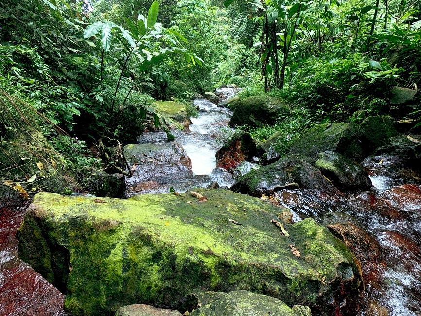 Trekking Cisadon Sentul