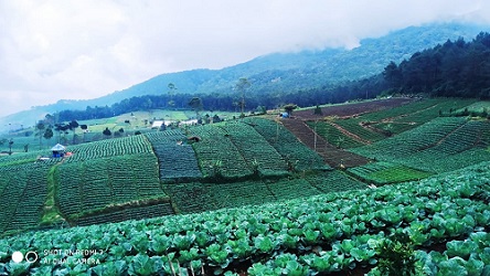 Bukit Kanaga Hill Camp