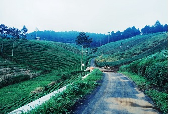 Bukit Kanaga Hill Camp