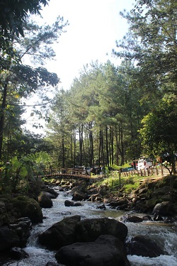 Camping Ground Curug Leles