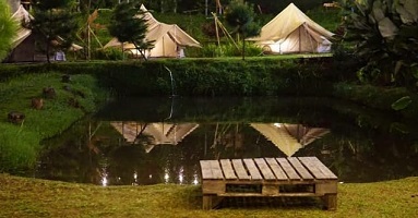 Forrester Glamping 