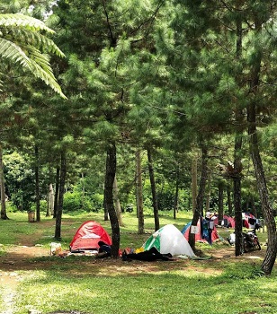 Camp Curug Cipamingkis