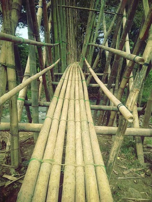 Saba Budaya Suku Baduy