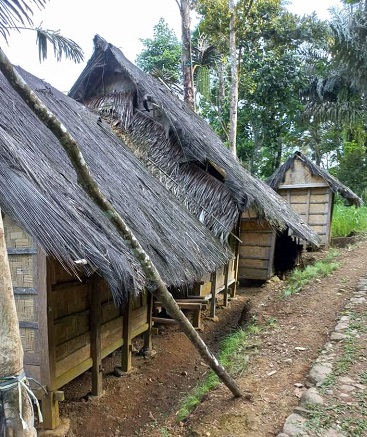 Saba Budaya Suku Baduy