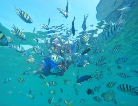 Snorkling dan Explore Pulau Pari 